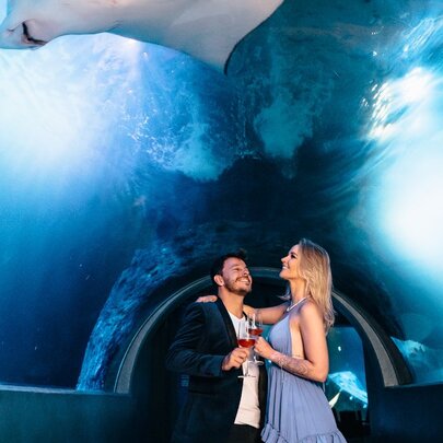 Private Dining at SEA LIFE Melbourne Aquarium