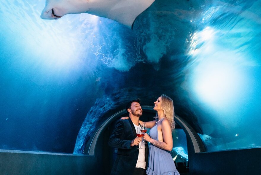 A couple holding wine glasses standing under a perspex tunnel in an aquarium while a manta ray swims overhead.