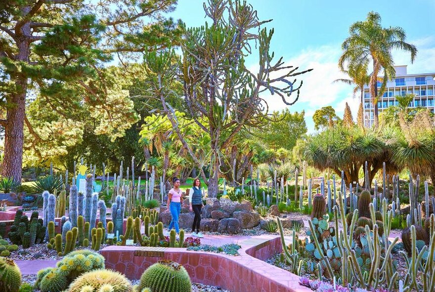 Two women walking through a cacti garden.