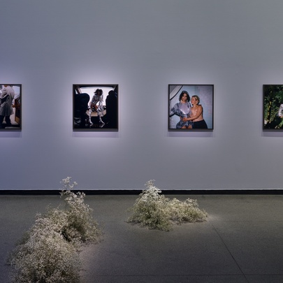 ACCA's Summer Season: Tourmaline: Transcendent