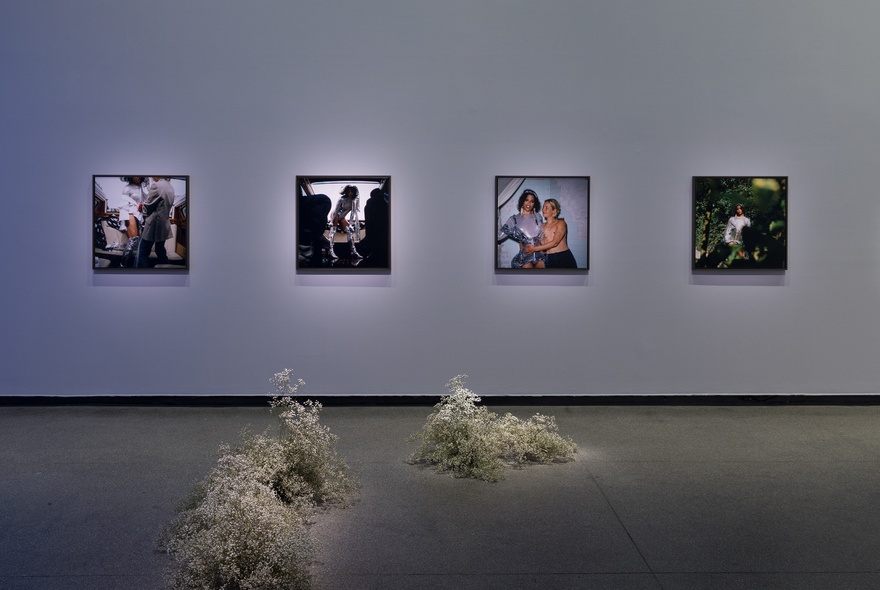 Four square artworks displayed in a dimly lit gallery, with tufts of leaf matter on the floor.