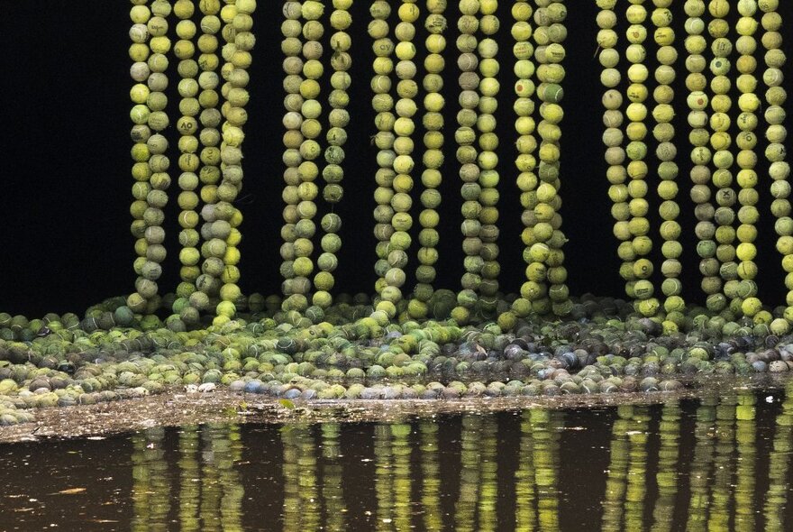 Rows of hanging green beads, reflected in a pool of water.