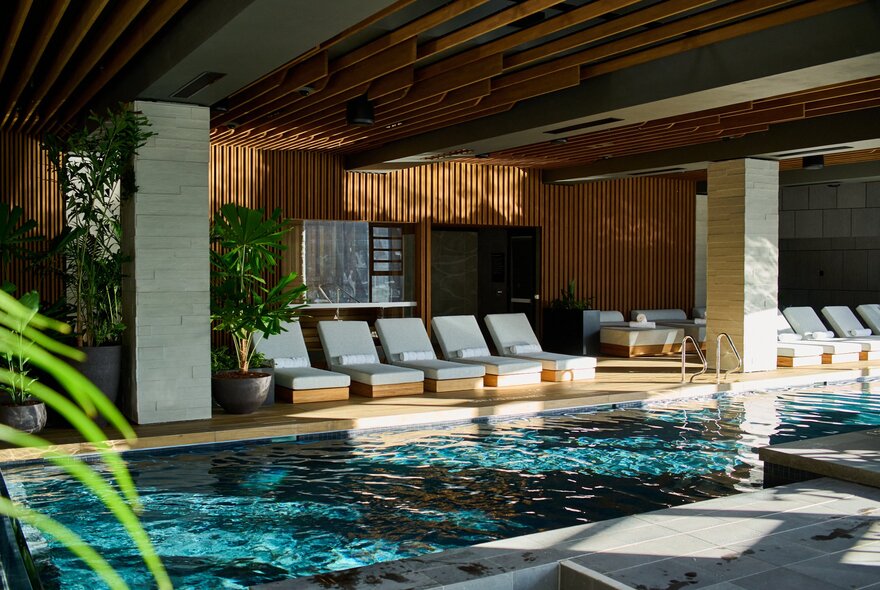 The indoor swimming pool area at 1 Hotel Melbourne, with greenery, and several pool lounges arranged around the edge of the pool.