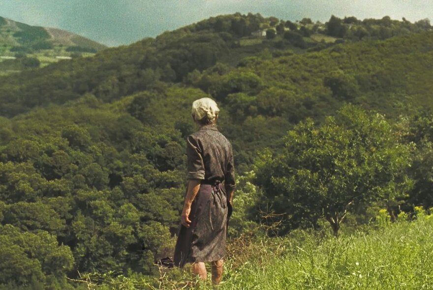 A scene from a film showing the back of a woman in village atture looking across a hilly green landscape. 