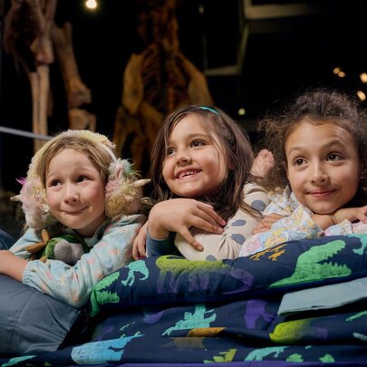 Three smiling young girls lying on a mattress with sleeping bags, inside a museum, next to a dinosaur skeleton.