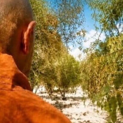 A portion of the back of a Buddhist monk in saffron robes walking in a sandy shrubbed setting. 