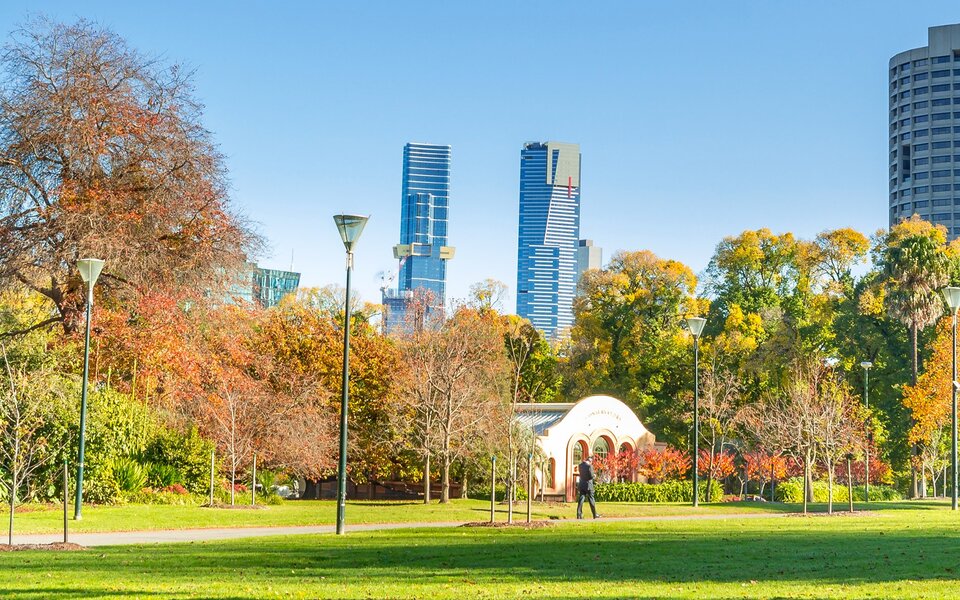 A park on a sunny day with the tall buildings in the background. 