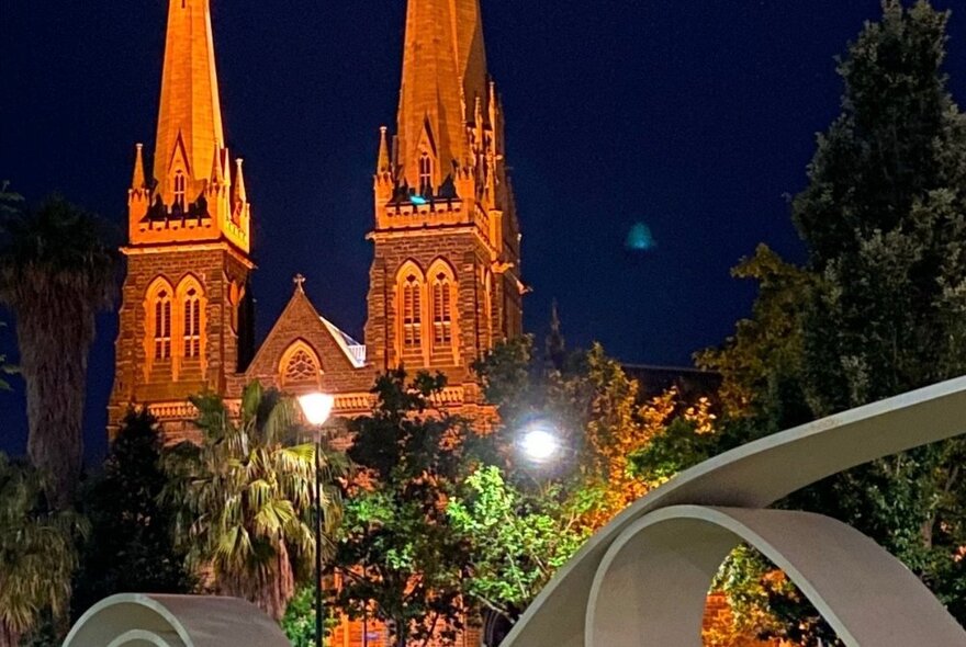 A view of two Gothic cathedral spires, against a night sky, vegetation in the foreground.