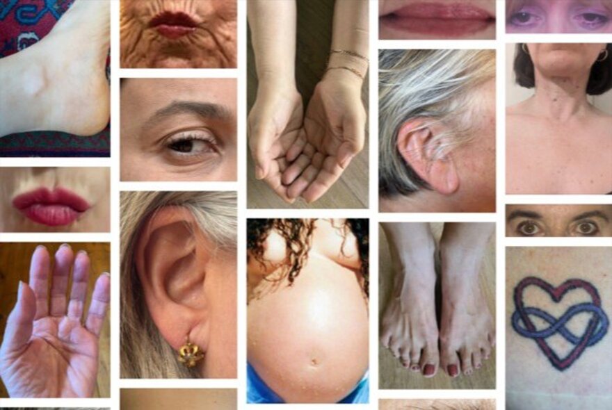 A collection of images in a grid format showcasing various parts of the female body.