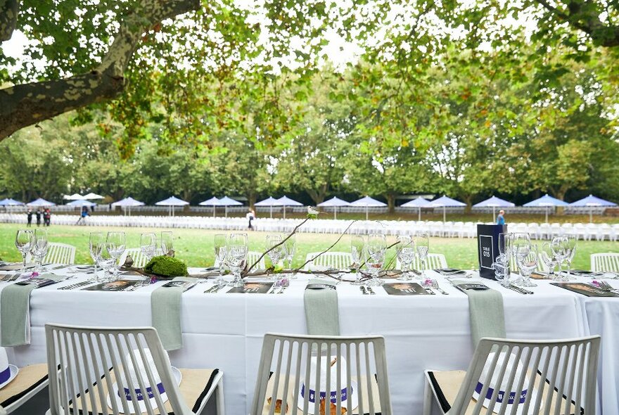 Numerous set tables and chairs under trees.