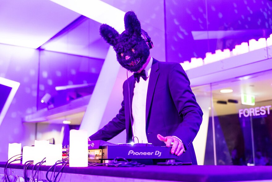 A DJ in a fuzzy purple scary-bunny mask standing behind a DJ deck.