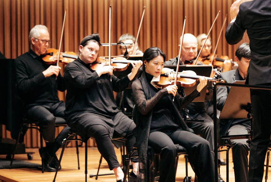 Seated members of Orchestra Victoria, wearing all black, playing their musical instruments in a hall.
