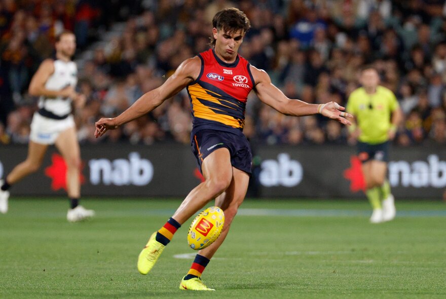 An Adelaide Crows AFL player about to kick a yellow football he has just dropped in front of his leg, with blurred players, an umpire and fans in the stadium in the background.