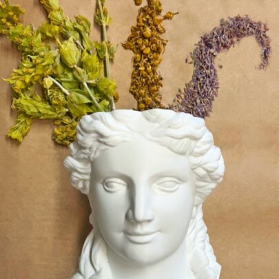 A white plaster bust sculpture of a Greek goddess, used as a planter with dried plants and herbs arranged in the top opening.
