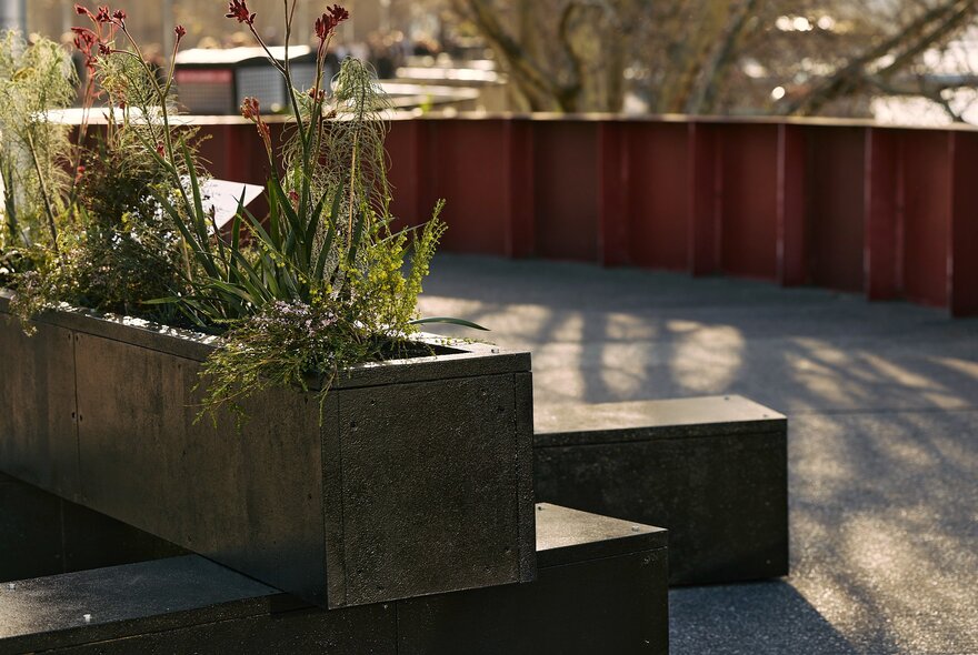 A public art installation in Melbourne with long planter pots and ferns. 
