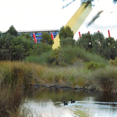 Junior Rangers: Wild about Wetlands