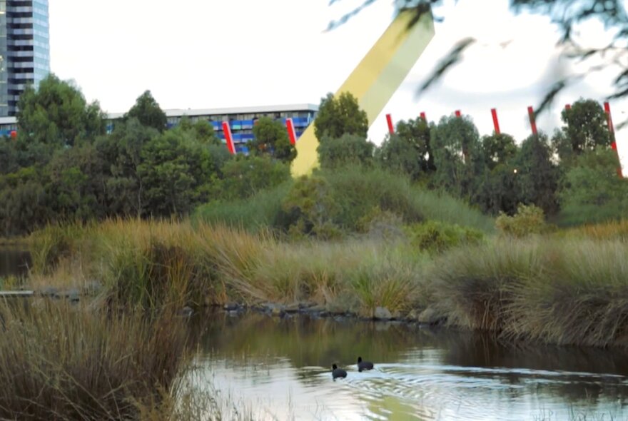 Wetlands near red and yellow road sculptures in Royal Park.