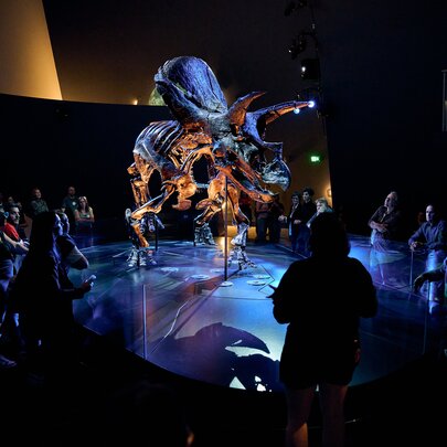 A dimly lit exhibition space with a large, brightly illuminated dinosaur skeleton in the centre, with several people in silhouette sitting or standing around the exhibit on a reflective floor.