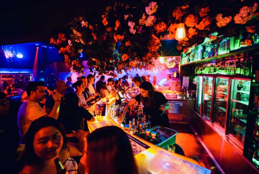 Interior of Miranda Bar with people standing at a curved bar and bar staff making drinks, a large wall of drink bottles in fridges to the right of the image.