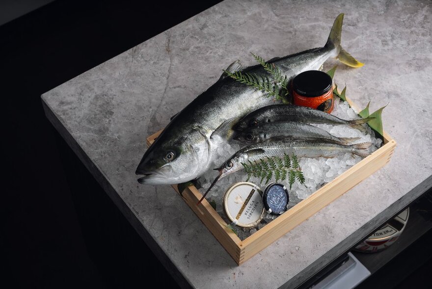 A whole fish on ice in a low wooden box, on a marble counter in a restaurant.