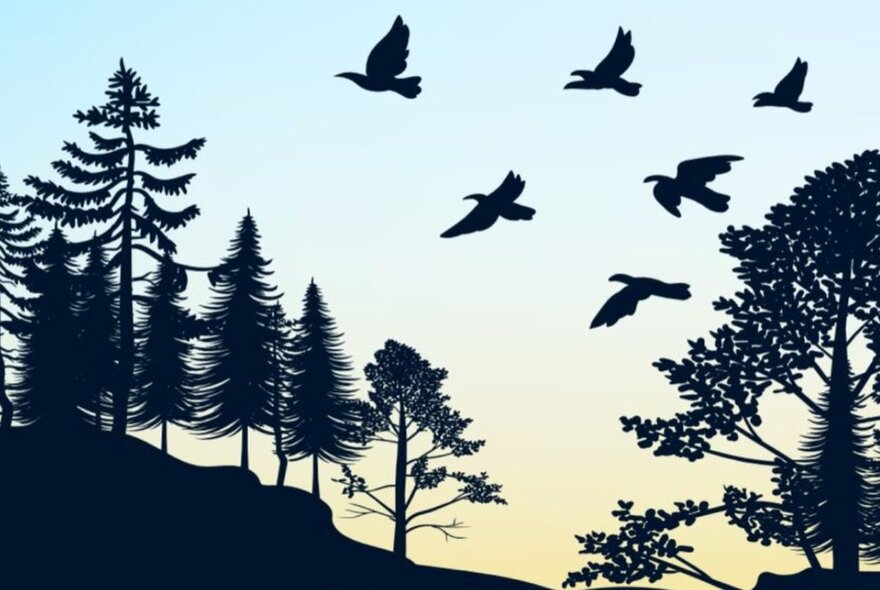 Trees and flying birds in black silhouette against blue and gold dusk sky.