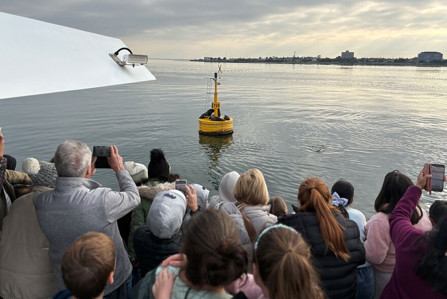 A group of boat passengers photographing marine seals resting atop a yellow navigational buoy in open water.
