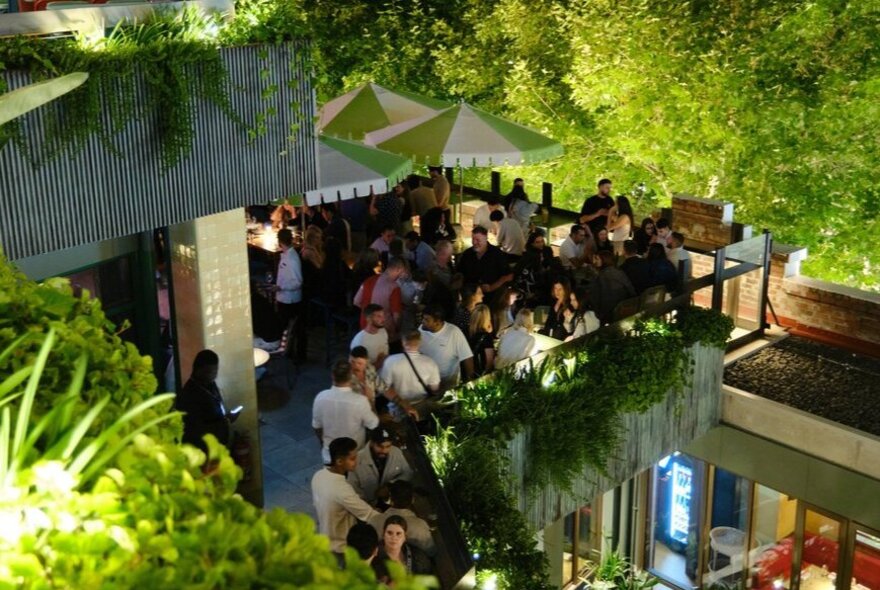 A busy rooftop terrace among plants.