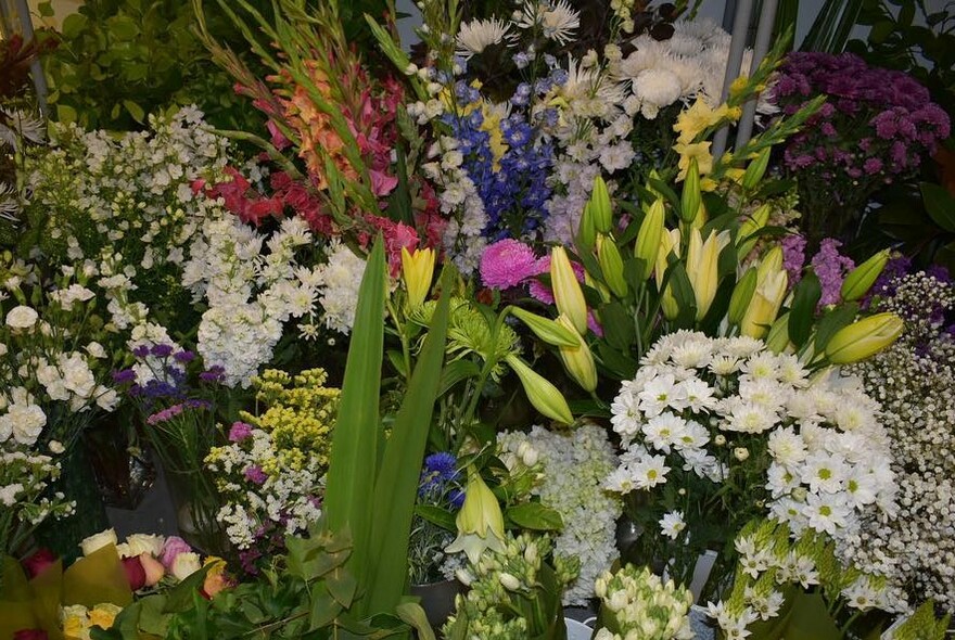 Array of colourful flowers.