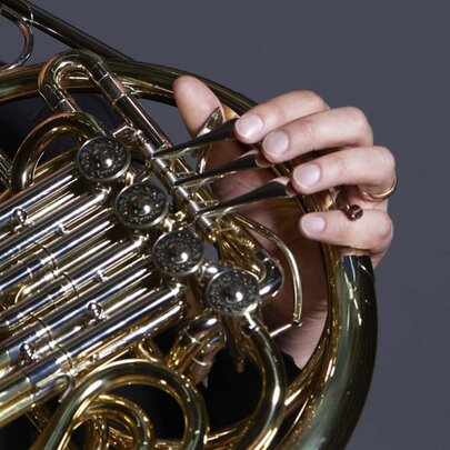 MSO Chamber: Horn Trios