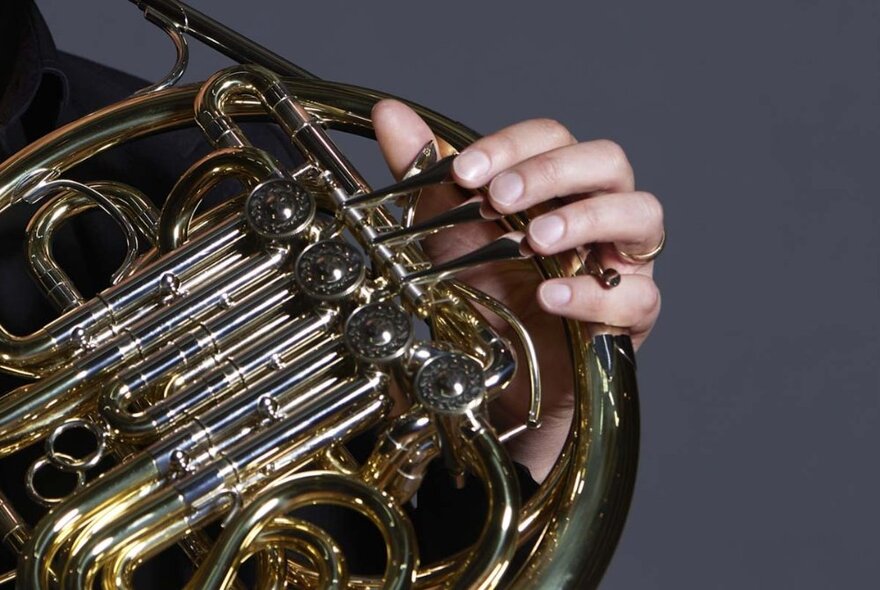 A hand holding and pressing down on the valve keys of a French Horn.