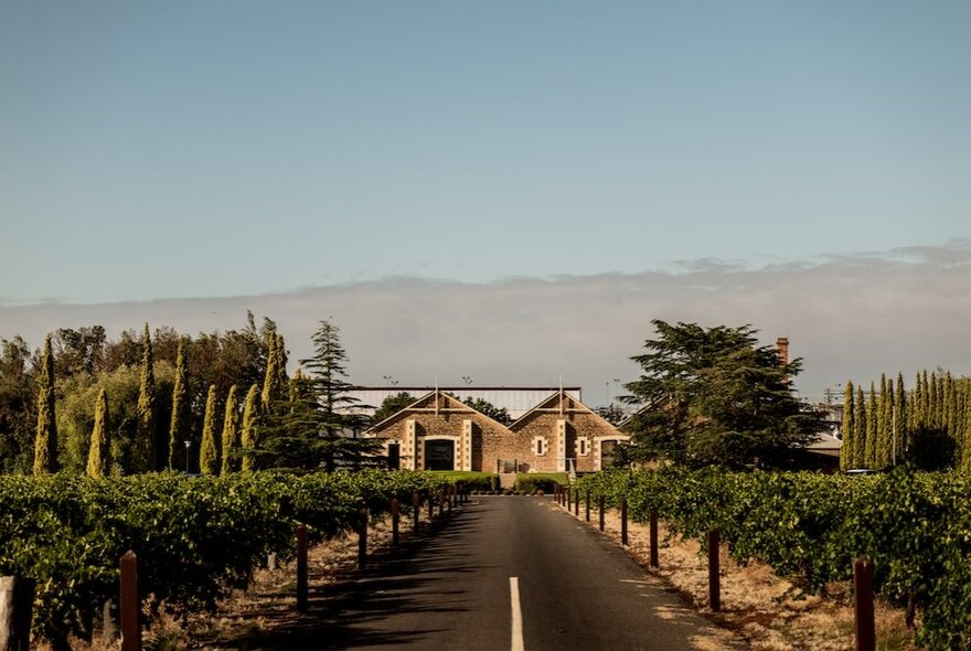 Wynns Coonawarra Estate with vineyard plantings either side of a road, and a building in the distance, under a large blue sky.