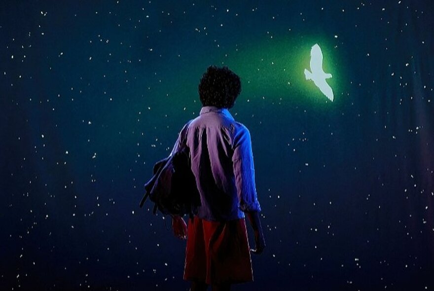 A figure in darkness with a white bird in the sky.