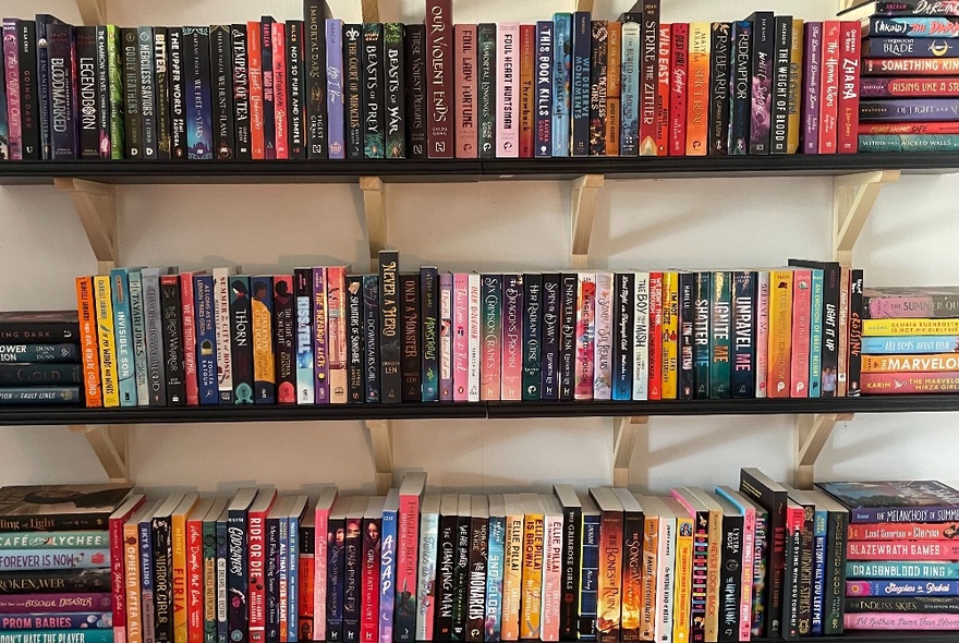 Shelves of colourful paperback books against a white wall.