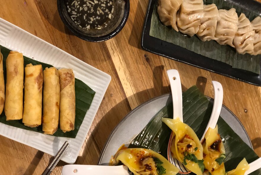 Looking down on plates of crispy spring rolls, gyoza and wontons on a wooden table top.