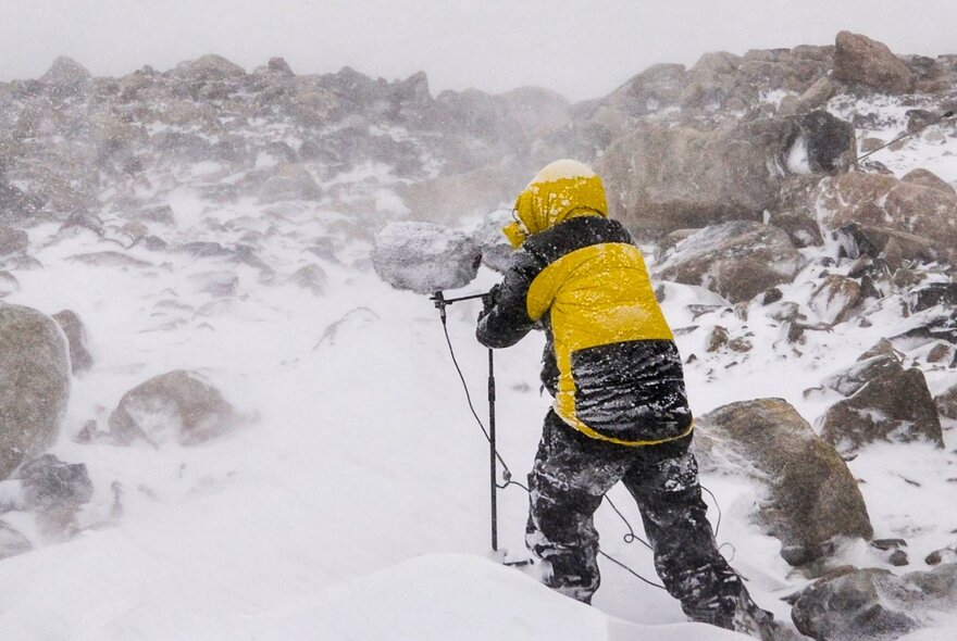 A person in a yellow snow suit with sound recording equipment in a blizzard in a remote location. 