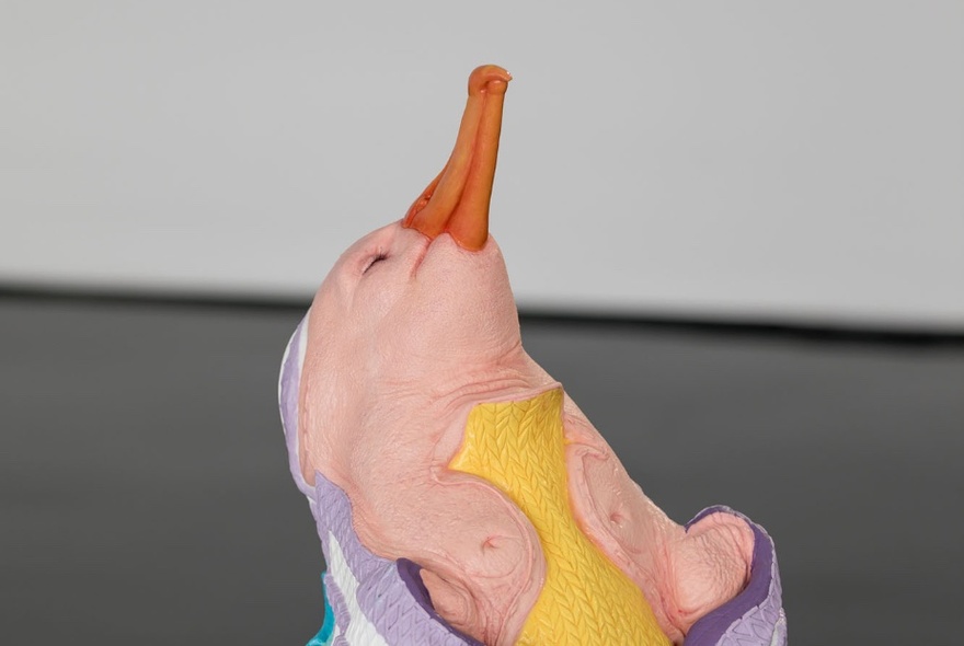 Detail of a brightly coloured sculpture by Patricia Piccinini inside a gallery.