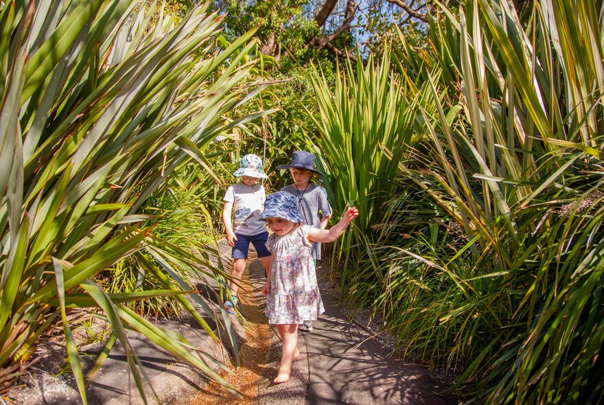 Young children walking through tall reeds in a a garden. 