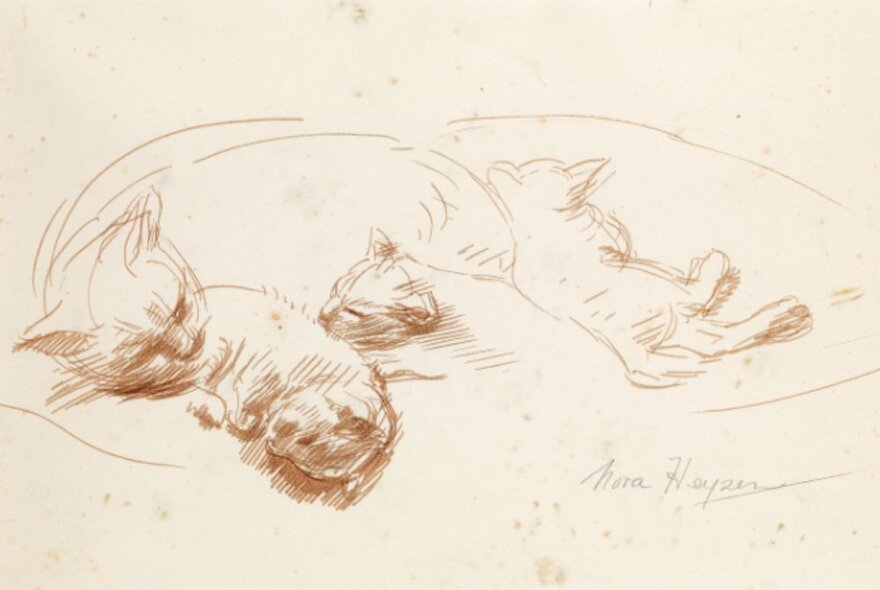 Pencil drawing of cats sleeping on cushions.