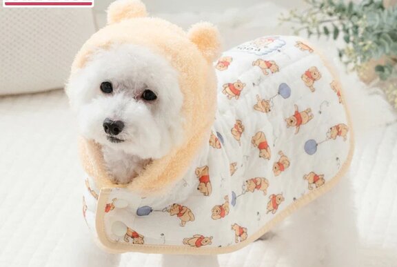 A white fluffy dog wearing a winter pet coat with a hooded head cover, standing indoors on a white rug.