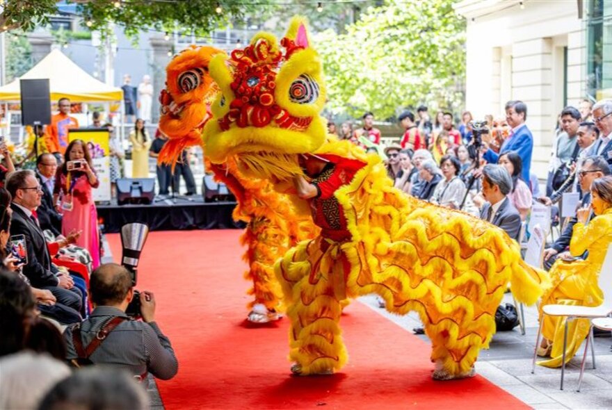 A traditional Lion Dance performance during a cultural celebration taking place outdoors, with a seated audience watching.