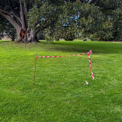 Striped strip of barrier tape tied between two posts on a lawn in front of a tree.