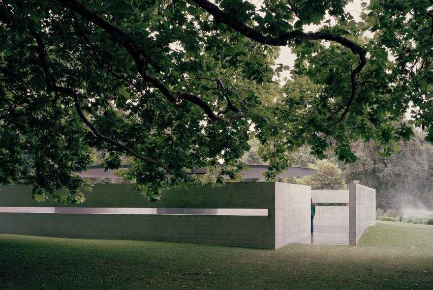 MPavilion building under a canopy of trees. 