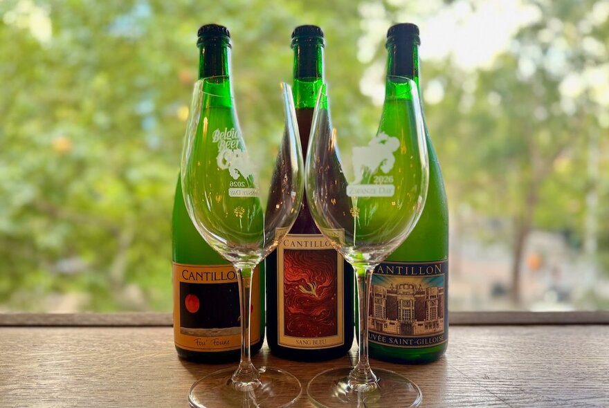 Three bottles of imported beer on a table near a window with to large glasses in front of them. 