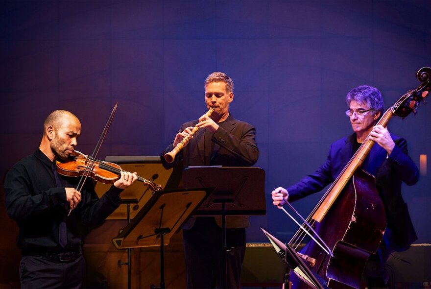 Three classical musicians playing violin, cello and clarinet with music stands.