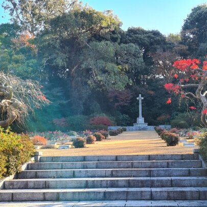 Eucalypts of Hodogaya