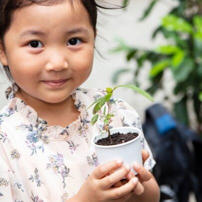 A child holding a tiny plant in a small white pot, plants in the background.