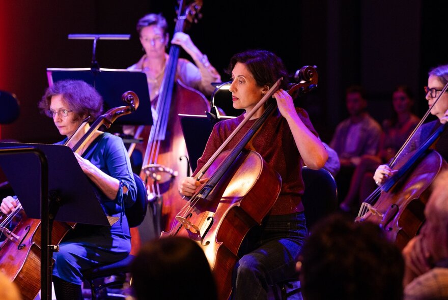 Cello and double bass section of Orchestra Victoria performing in a small space.