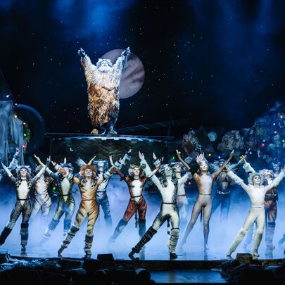 Cats the Musical