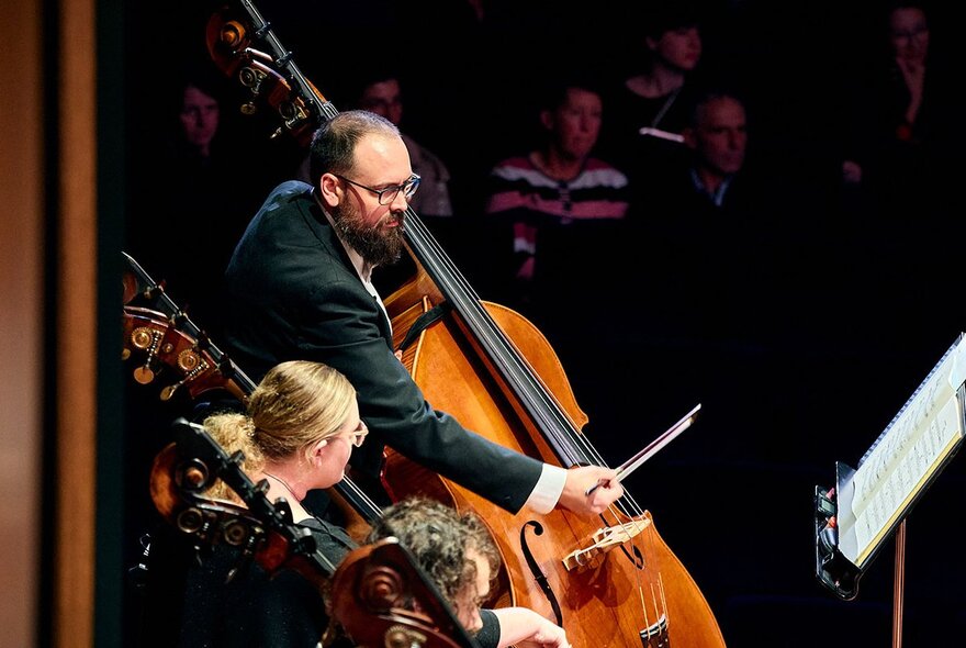 Classical musicians playing stringed instruments.