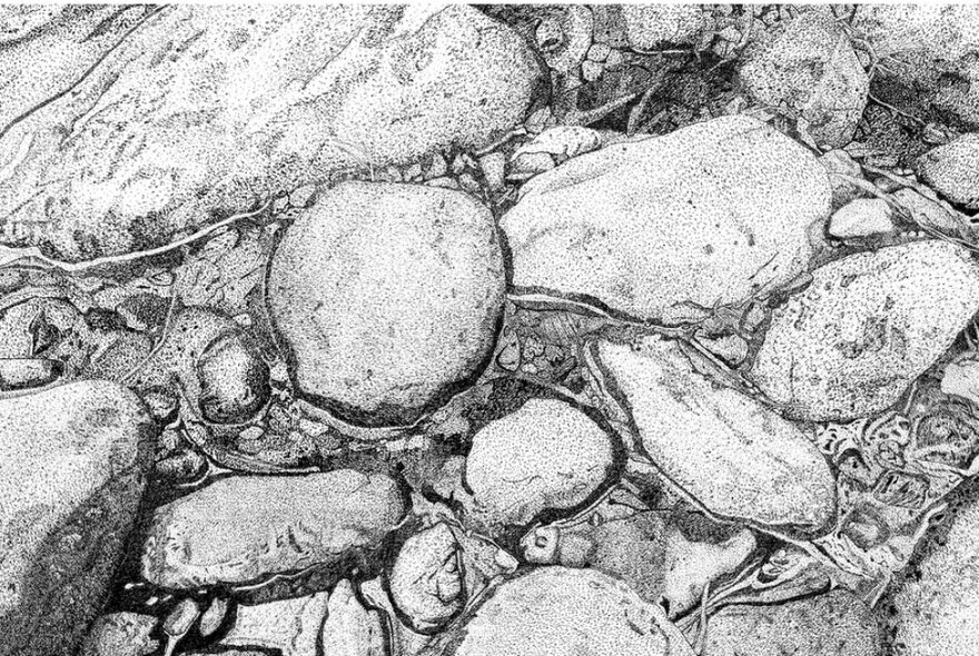 Ink drawing of pebbles and rocks using stippling technique. 